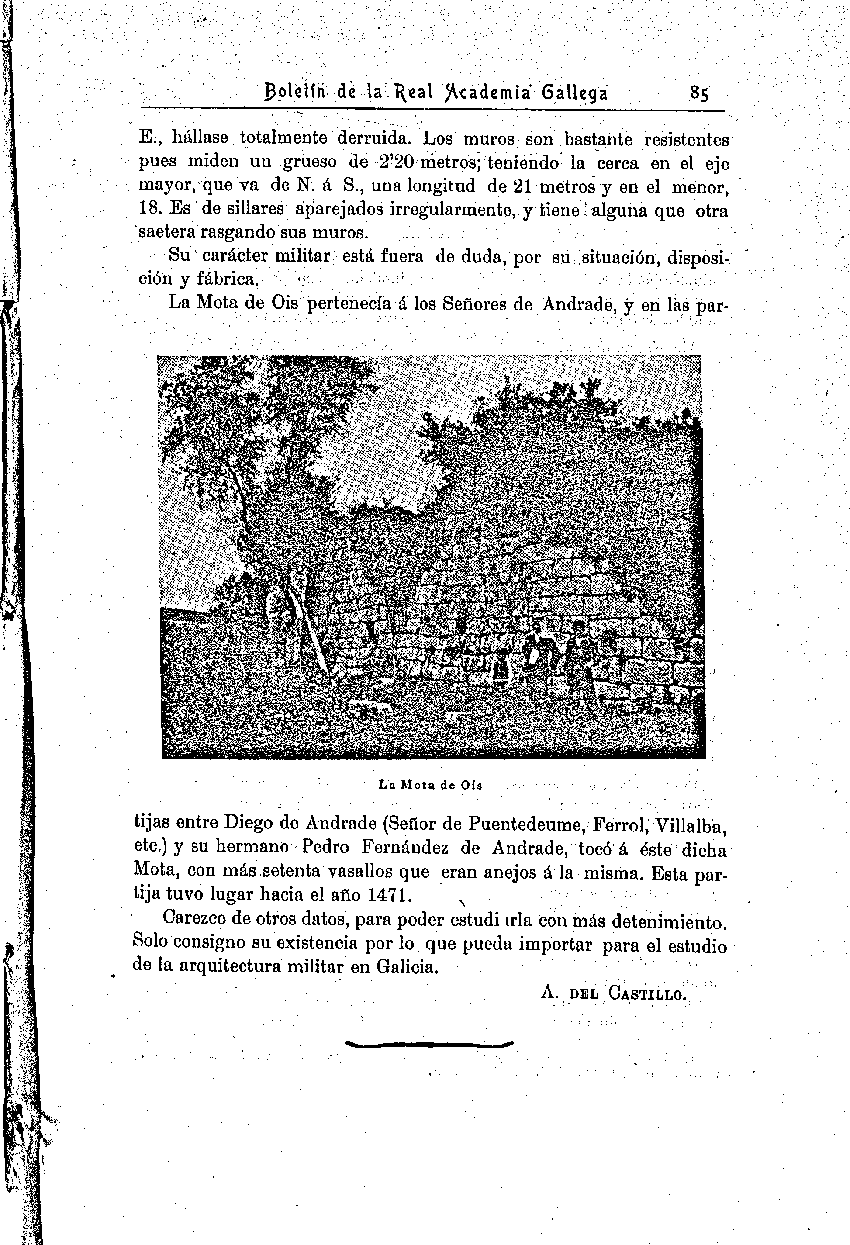 folla de libro