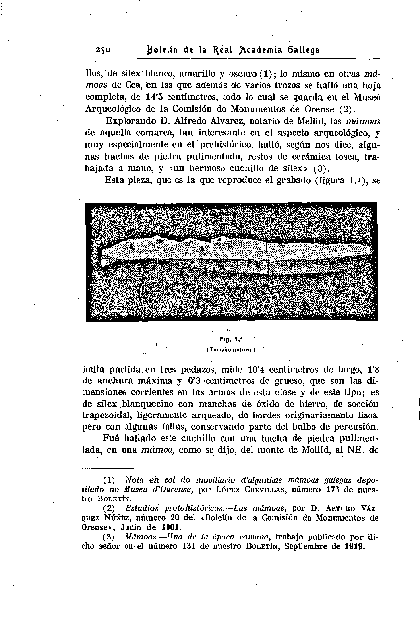folla de libro