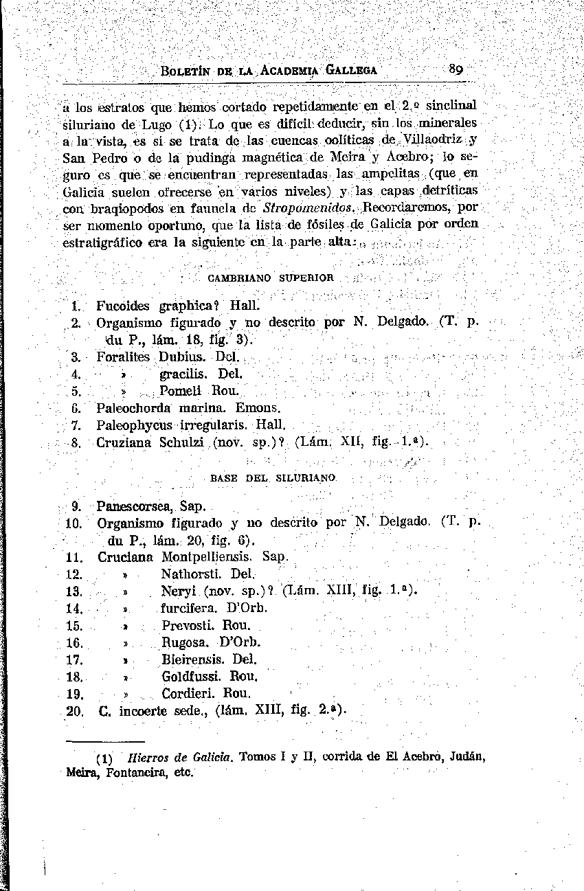 folla de libro