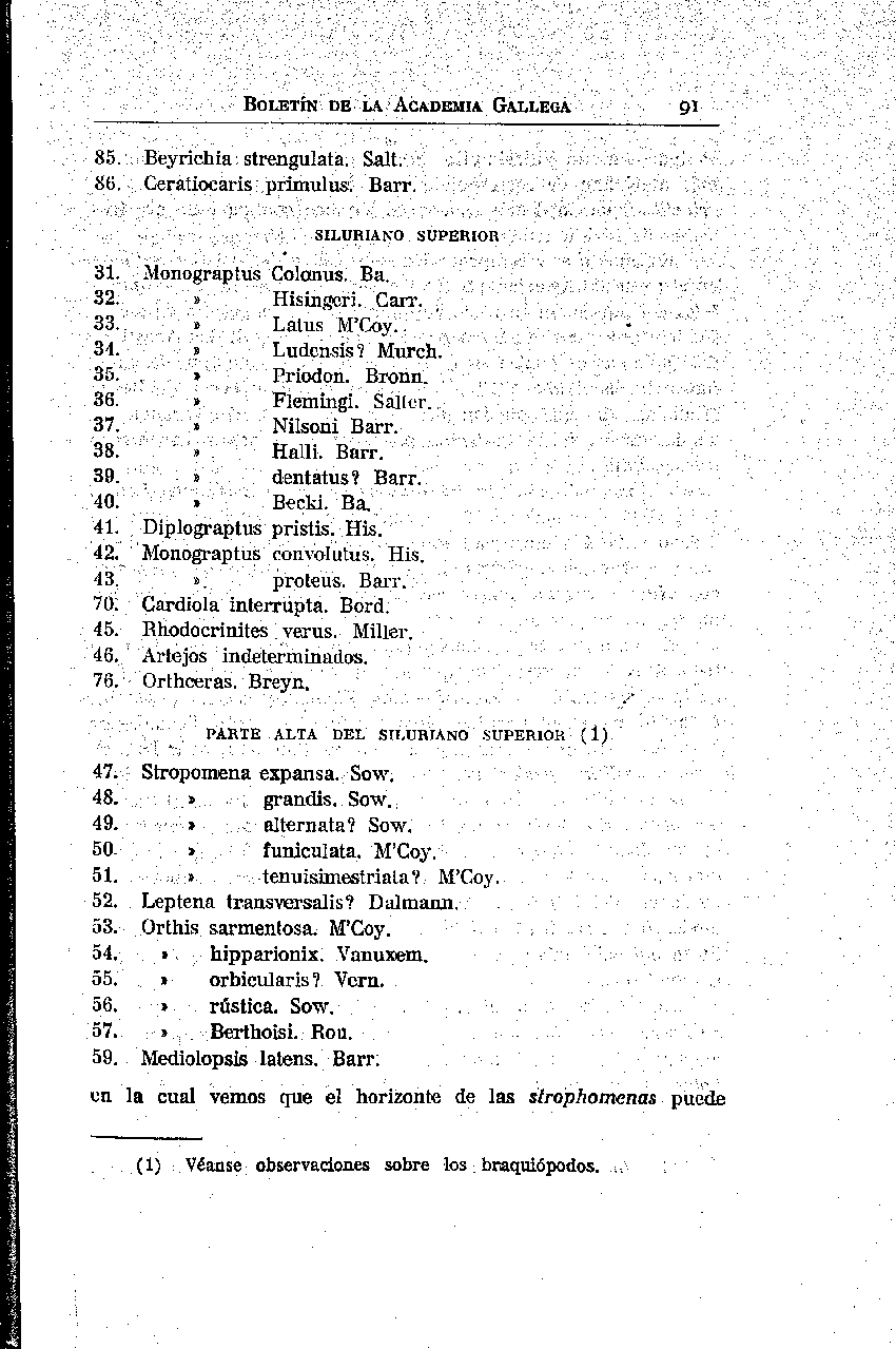folla de libro