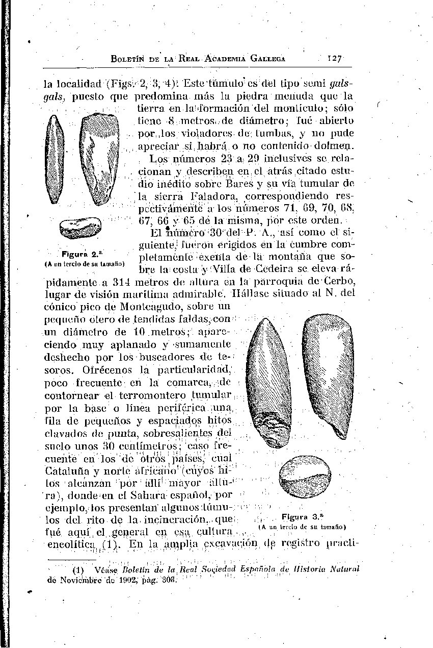 folla de libro