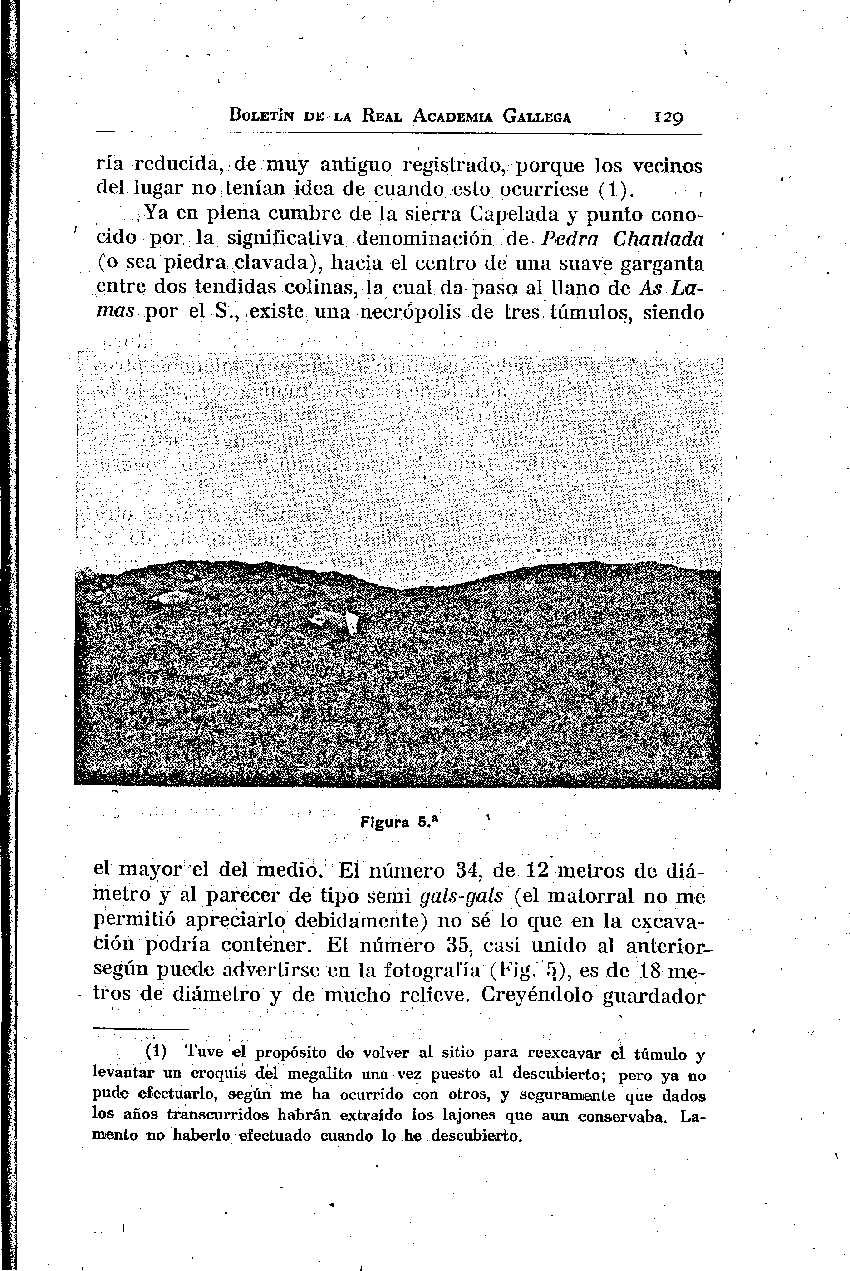 folla de libro