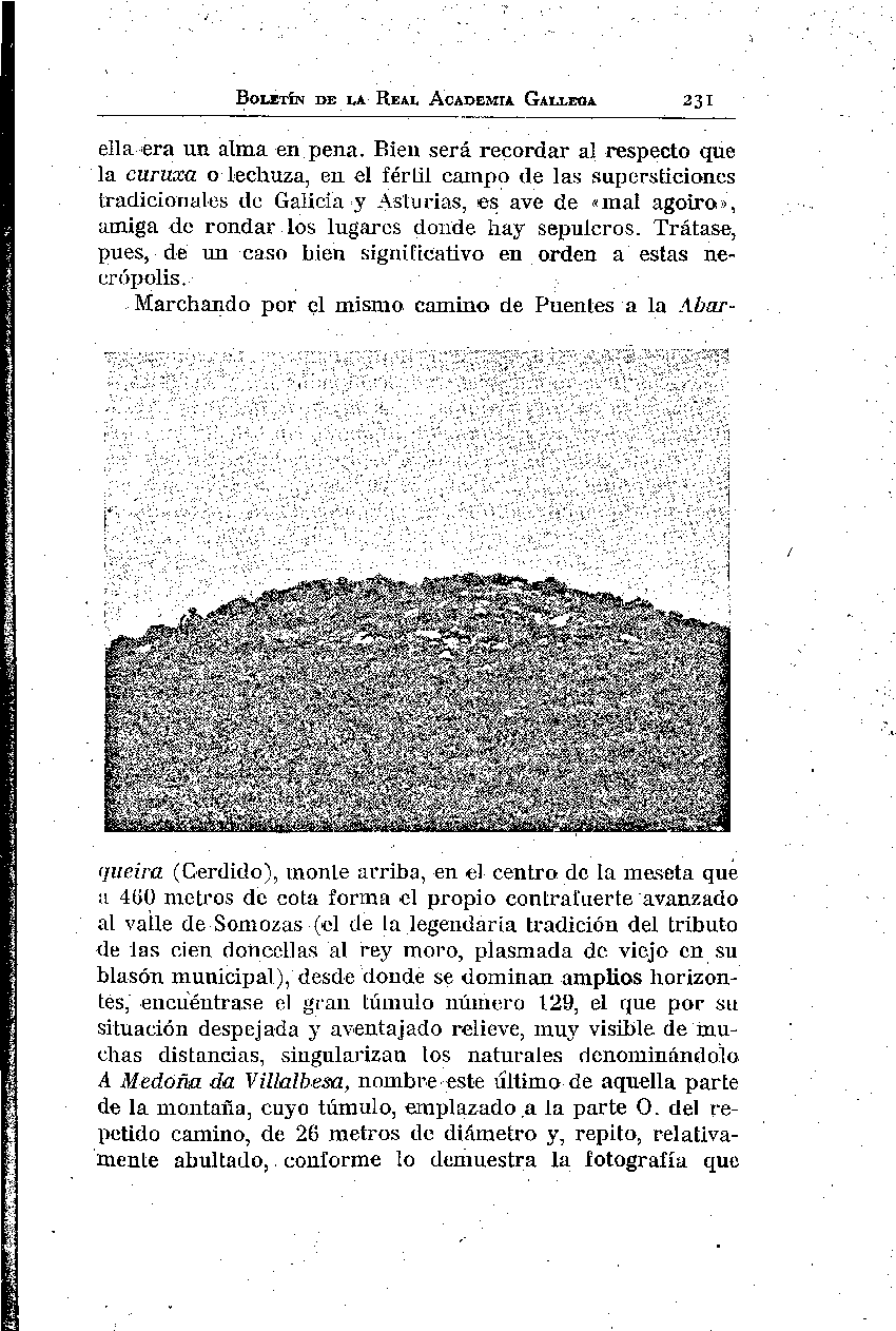 folla de libro