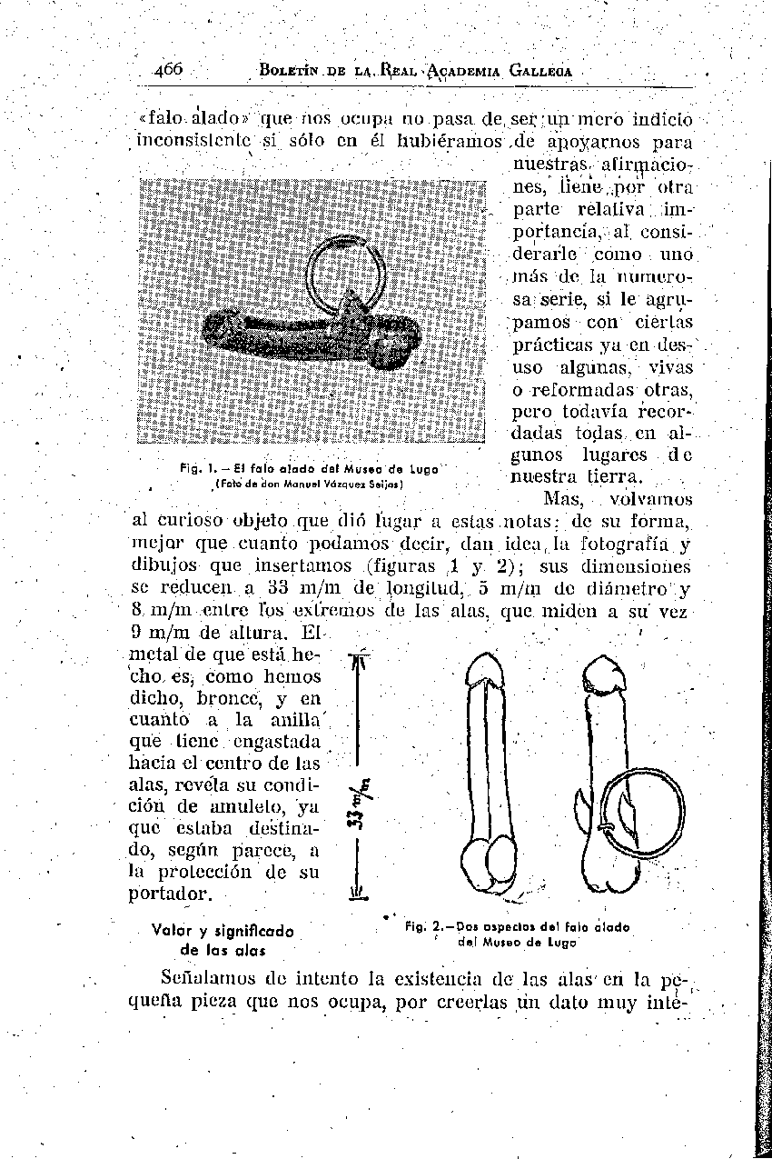 folla de libro