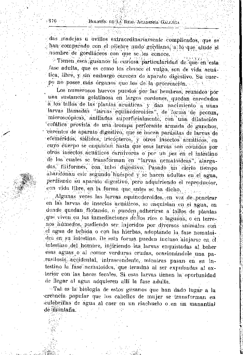 folla de libro