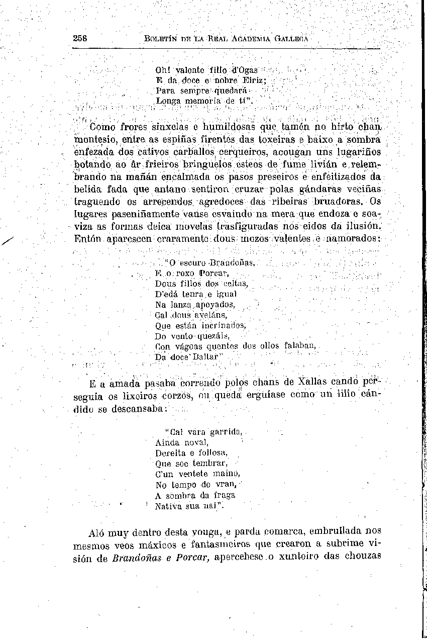 folla de libro