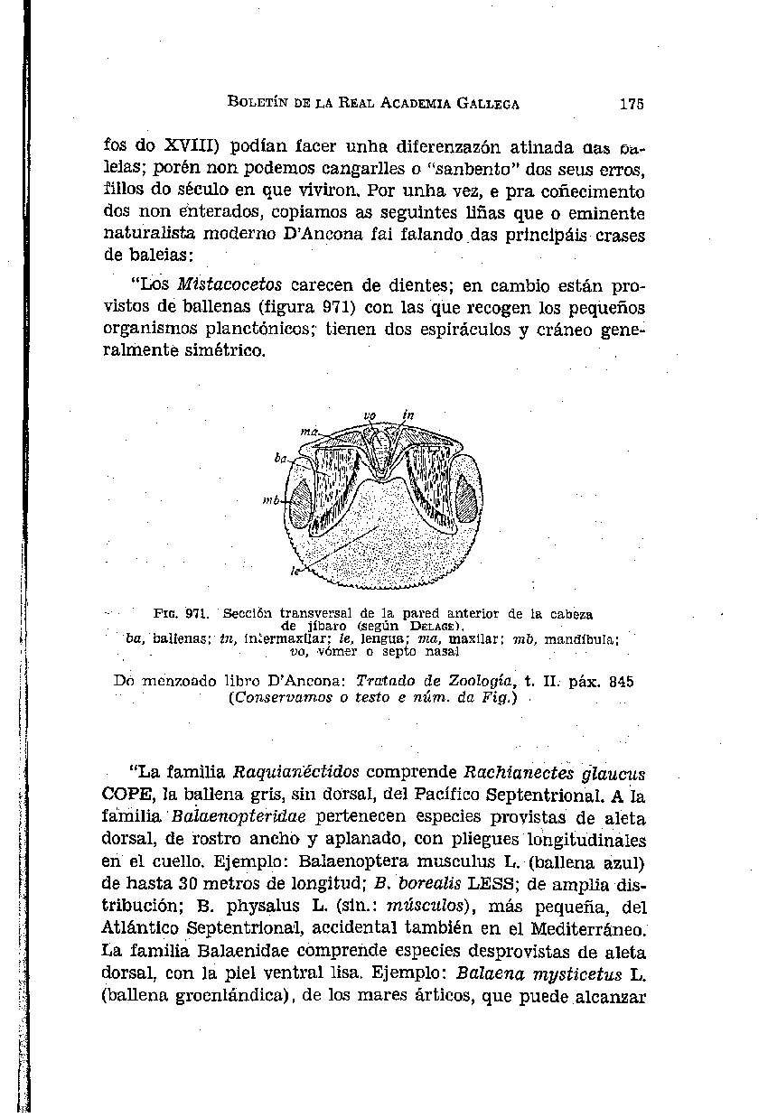 folla de libro