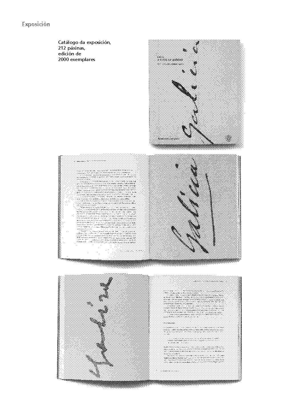 folla de libro