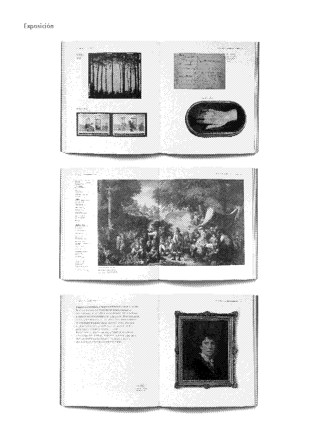 folla de libro