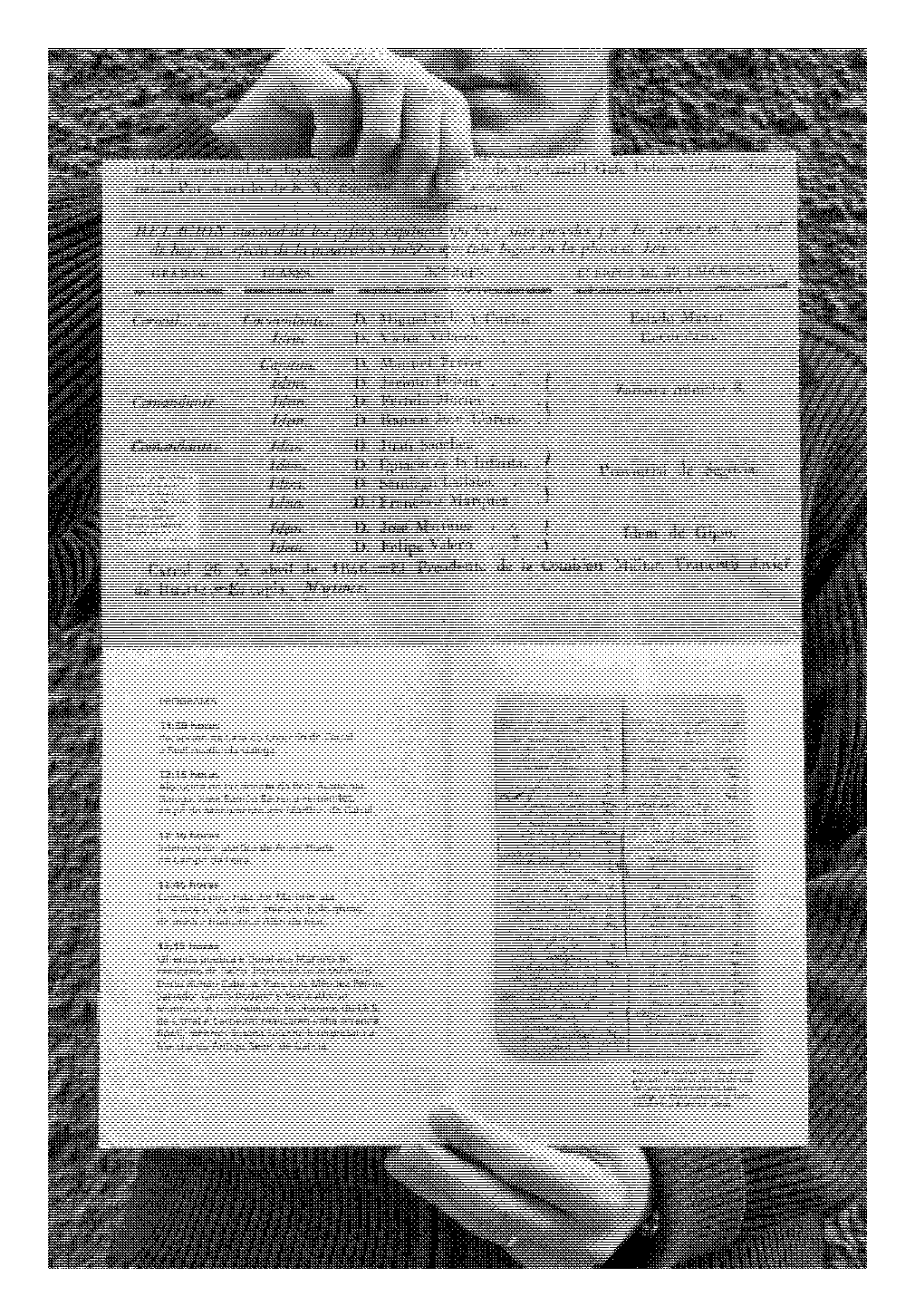 folla de libro