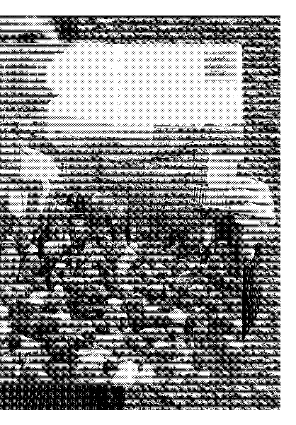 folla de libro