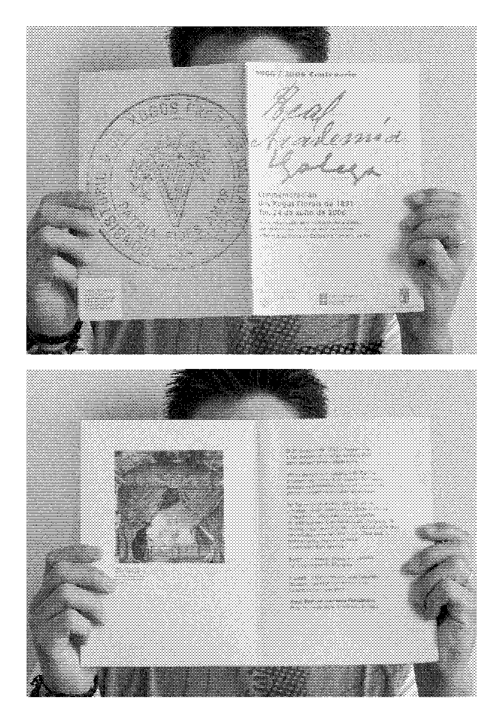 folla de libro