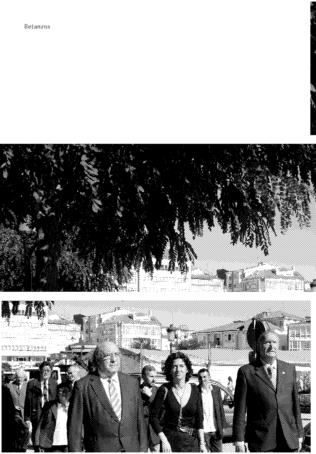 folla de libro