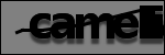 Texto para identificar