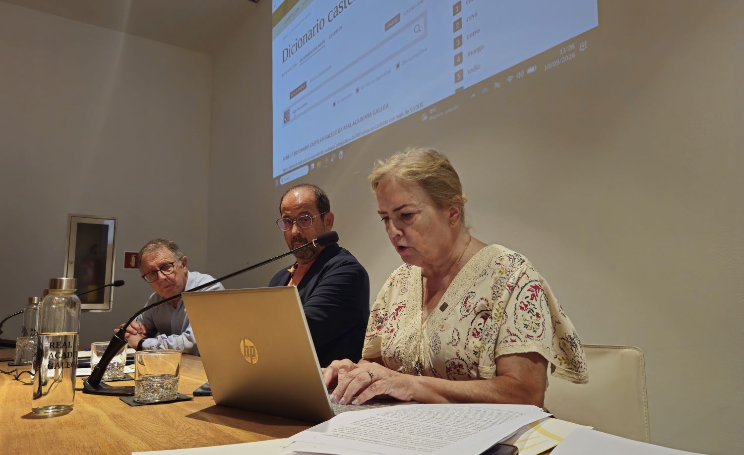 Estrea do Dicionario castelán-galego en liña